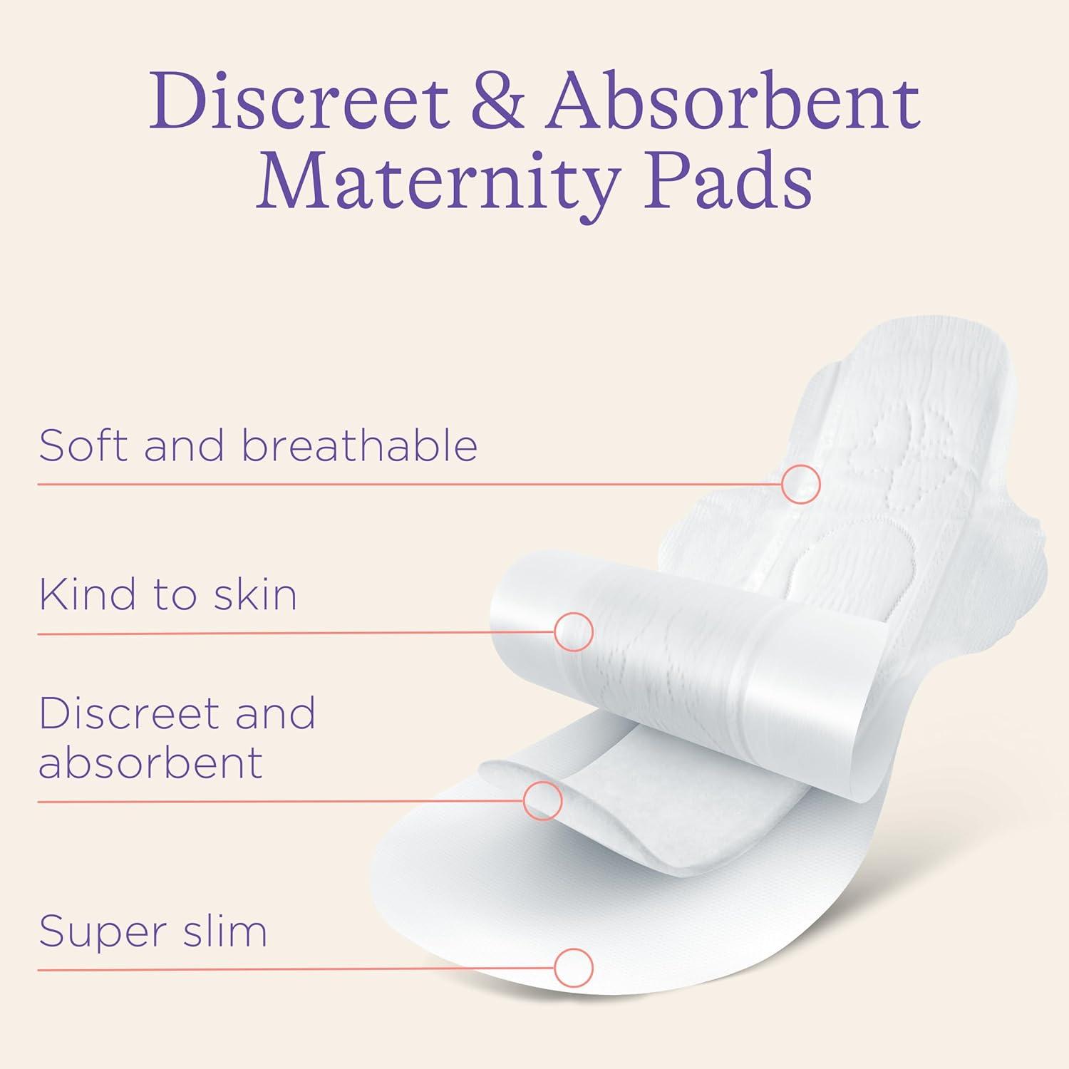 image:imageLansinoh Postpartum Maxi Pads Bundle 40 Count Heavy Absorbency Overnight Pads with Wings Includes 2 Sizes for Extra Protection Postpartum Essentials80 Count