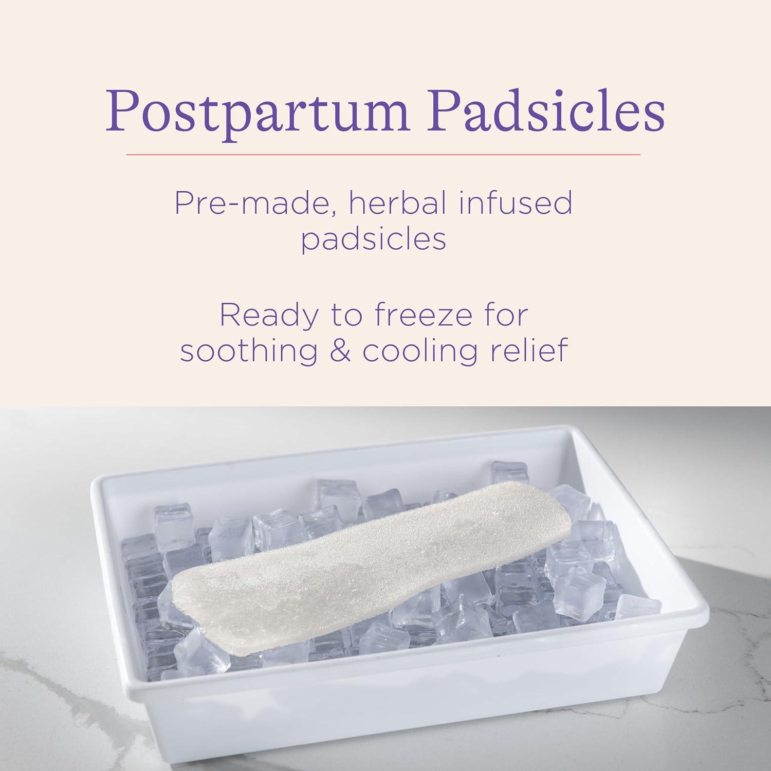 image:imageLansinoh Postpartum Recovery Essentials Kit 8Piece New Mom Gift Set with Peri Bottle Herbal Spray amp Ice Packs for Soothing After Birth Care